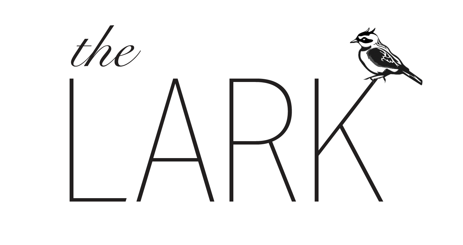 The Lark Downtown Jacksonville